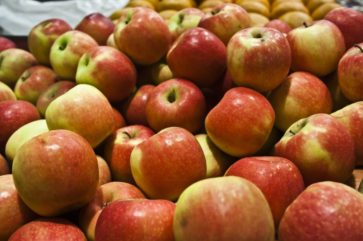 apple watch barn